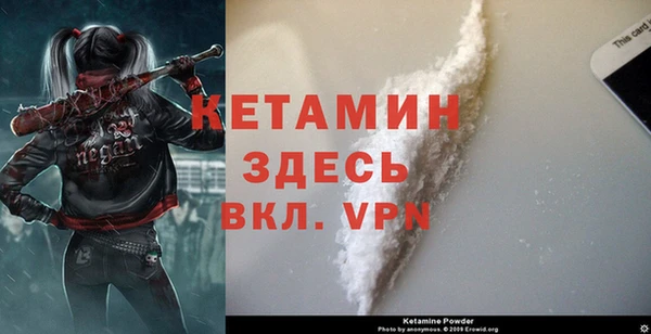 спиды Верея
