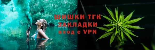 спиды Верея