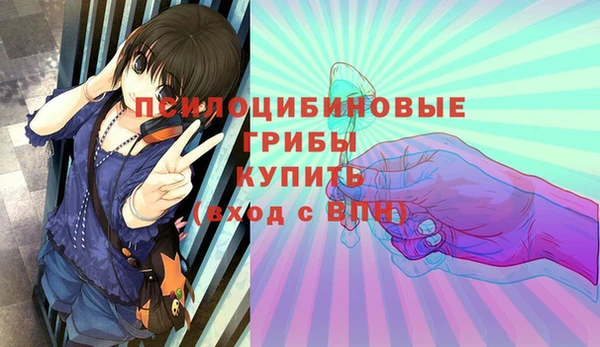 ECSTASY Верхний Тагил