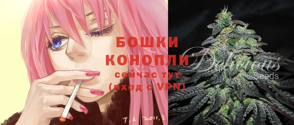 спиды Верея