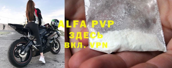 спиды Верея