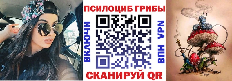 Купить где  Курлово  Галлюциногенные грибы Psilocybine cubensis 